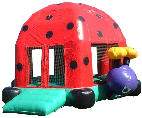 lady bug bounce