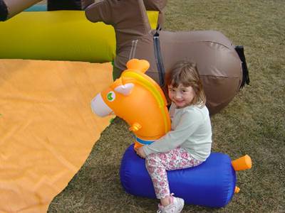 Western Roundup Inflatable for rent