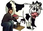 cow milking