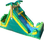 Tropical water slide